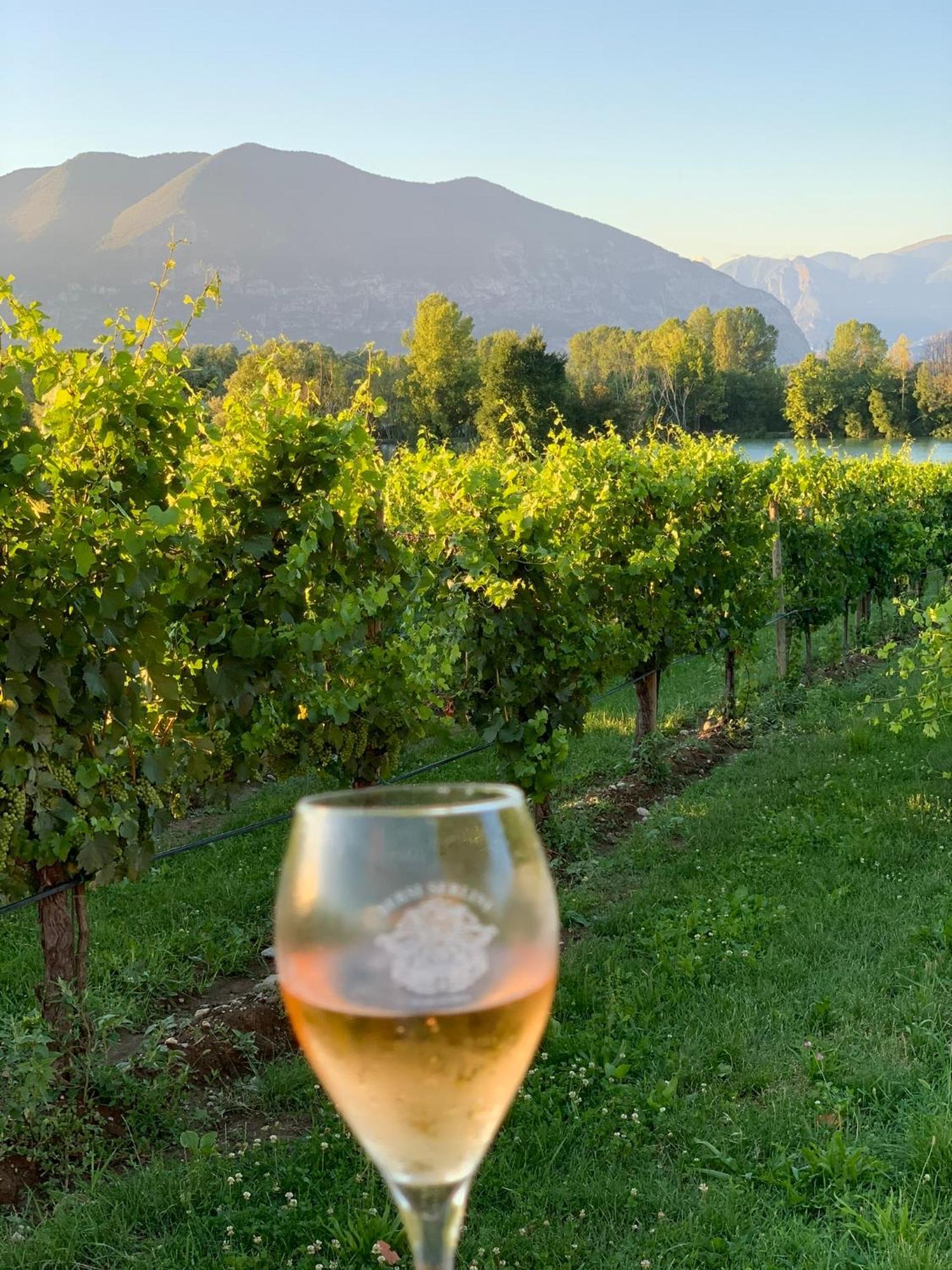 La Casa Di Saten - Appartamento In Franciacorta Эрбуско Экстерьер фото